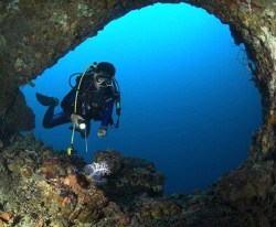 Diver examines soft coral in cave  D100 10,5mm by Eric Orchin 